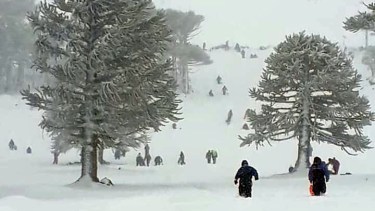 El parque de nieve Primeros Pinos a 50 km de Zapala en una imagen de archivo. Este año, aunque esta cerrado y sin servicios, igual hay visitantes. 