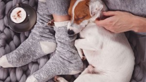 Pronóstico: vuelven las temperaturas bajo cero a la región