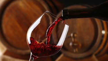 Nuevos vinos en bodegas patagónicas