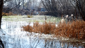 Alerta de la AIC por crecida del río Neuquén