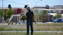 Imagen de Judicializan el polémico programa para cuidar plazas