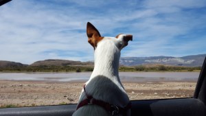Pronóstico: la semana inicia con nubosidad y mínimas bajo cero