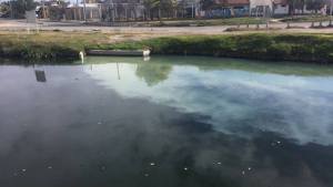Un afluente del arroyo Durán sigue oliendo mal