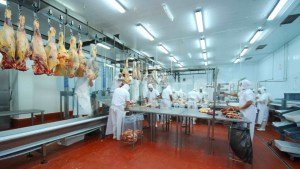 Cuota Hilton: Autorizan a Fridevi el envío de 167 toneladas de carne a Europa