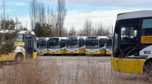 Imagen de El viernes no habrá colectivos en Neuquén