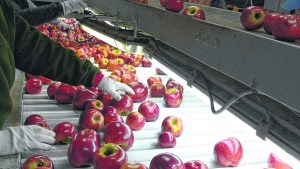 Coronavirus: trabajadores de los empaques denuncian desprotección
