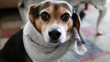 Pronóstico: ¡A abrigarse! Llega un viernes helado