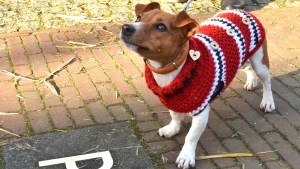 Pronóstico: para mañana se espera una jornada nublada y fresca en la región