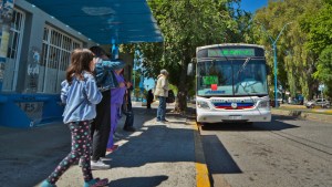 Por una falla en el sistema, el transporte en Roca se cobra en efectivo