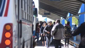Los colectivos urbanos circularán con normalidad este martes en Roca