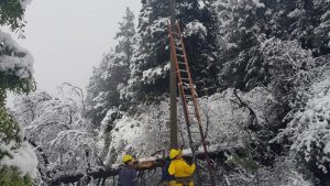 Edersa implementó un plan de contingencia en El Bolsón, ante el temporal de nieve