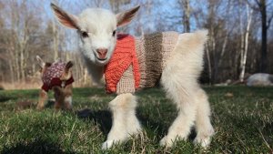 Pronóstico: Jueves nuboso, pero aumentan las máximas