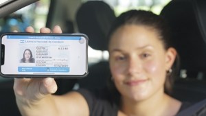 Cómo instalar la aplicación “Mi Argentina” y generar las cédulas digitales