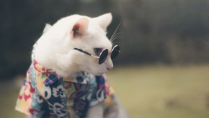 Pronóstico: ¿Saldrá el sol este jueves en la región?