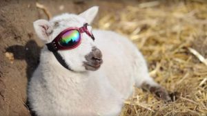 Pronóstico: Llega un viernes soleado, pero con mucho frío