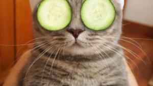 Pronóstico: ¡Relajate! Antes del finde largo te contamos cómo va a estar el tiempo