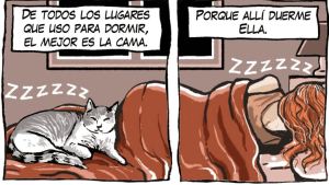 «Sueños mezclados», la nueva tira de Viajeros