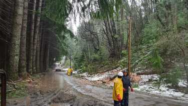 Los temporales de nieve y de viento provocan con frecuencia la caída de ramas y árboles sobre las líneas y causan los cortes de servicio en Villa La Angostura. (foto de archivo)