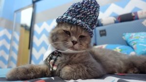 Pronóstico: ¡A abrigarse! Siguen las temperaturas heladas en la región