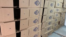 Imagen de Anticipan ventaja inicial para la fórmula Fernández – Fernández en Neuquén
