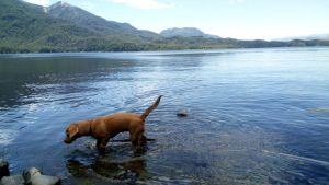 Pronóstico: A no dejarse engañar por el sol hoy, porque sigue helado