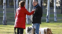 Imagen de Alberto Fernández: «Marcos Peña está hablando porque está nervioso»