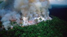 Imagen de Arde la Amazonia: mirá las imágenes del impactante incendio forestal