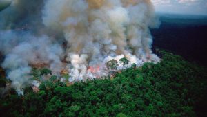 Arde la Amazonia: mirá las imágenes del impactante incendio forestal