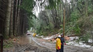 Después del temporal y el derrumbe, terminan de conectar la luz en la Angostura
