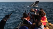 Imagen de Previaje 3 en Río Negro: Estos son los paseos de primavera para aprovechar el descuento