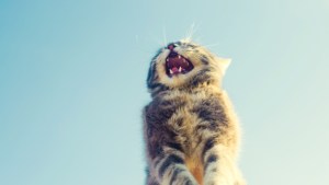 Pronóstico: ¡Buenas noticias! Mejora el tiempo este jueves