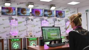 Suspenden el sorteo de los lotes sociales