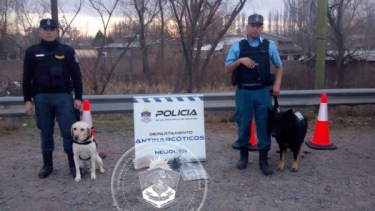 Los efectivos reforzaron la inspección tras la advertencia de los perros (Foto: Gentileza)