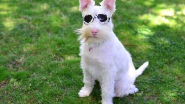 Pronóstico: Así arranca la primera semana de agosto