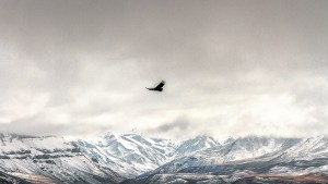Norte neuquino: viaje a la tierra del cóndor