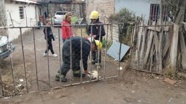 La mascota de la familia murió cuando tocó el portón de la vivienda, que estaba electrificado. (Gentileza Centenario Digital).-