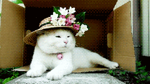 Pronóstico: ¿Asoma la primavera este martes?