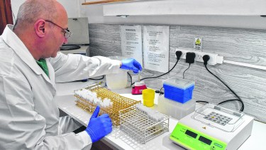Hasta el último detalle se analiza en el laboratorio que tuvo que hacer una gran inversión para sumar análisis específicos.