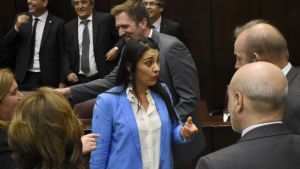 Lucila Crexell votará la Emergencia Económica, pero pedirá cambios