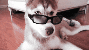 Pronóstico: Así se despide el invierno en la región