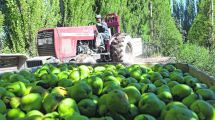 Imagen de Ponen foco a la compensación de millonaria deuda de chacareros con la AFIP