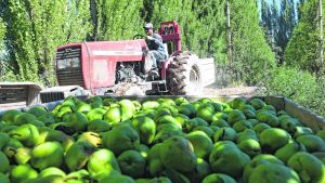 Uatre logró aumento en remuneraciones mínimas y alcanzó el 94,8% de aumento anual