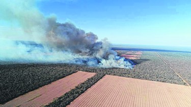Amazonia: ¿estamos cerca? Una historia de fuegos que se repite