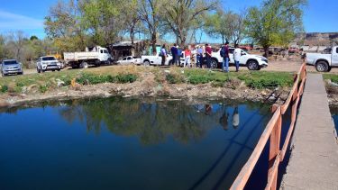 Foto: Néstor Salas.