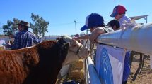 Imagen de Productores del Alto Valle buscan recuperar mercados en la Expo Ganadera de Roca