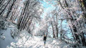 Finalizó el concurso Invierno Voy: conocé a la ganadora y a las finalistas