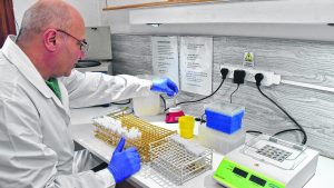 El laboratorio de Río Colorado, clave para asegurar la sanidad del ganado