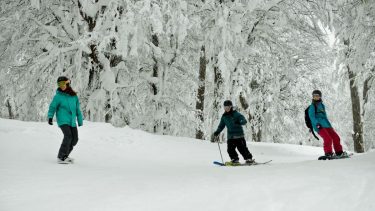 Video: se viene el último Curso de Residentes y mirá cómo está Chapelco
