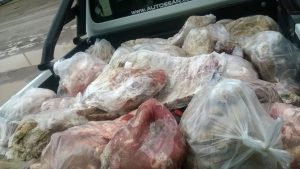 Secuestraron unos 2.500 kilos de carne en mal estado en Las Grutas y SAO