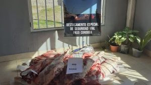 Roca: secuestraron carne transportada sin refrigeración y la donaron a una protectora de animales